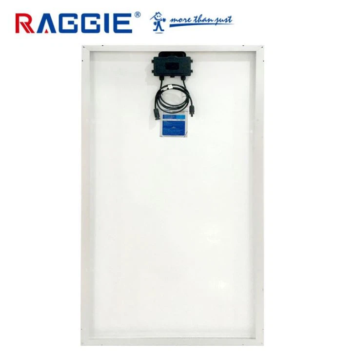 الواح راجي 165 وات اسود - الصورة 7