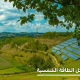 عيوب ومشاكل الطاقة الشمسية